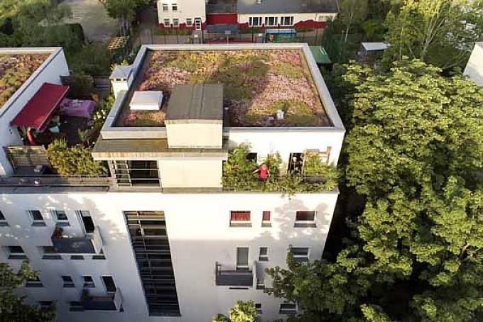 Blick von oben auf den Balkon der Biogärtnerin. Blick von oben auf den Balkon der Biogärtnerin.