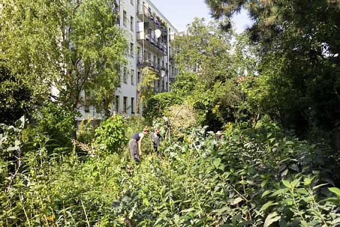 Garten zwischen Mietshäusern. Garten zwischen Mietshäusern.