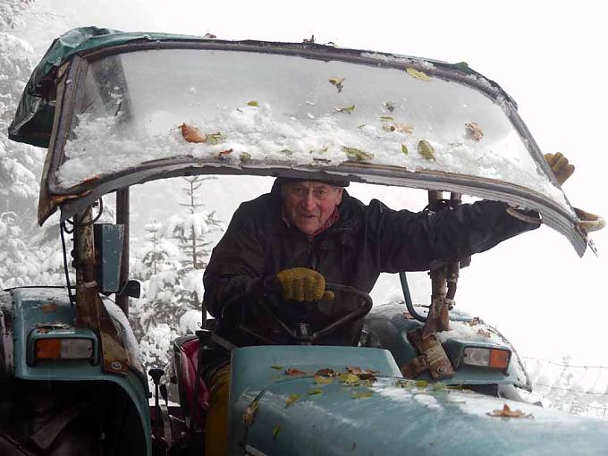 Bernhard Schuler vom Domilishof in Stegen-Eschbach nahe Freiburg pflanzt seit mehr als 30 Jahren Weihnachtsbaumkulturen an Schafe halten das Unkraut klein