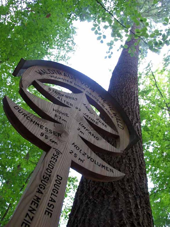 Stadtwald Freiburg. Stadtwald Freiburg.