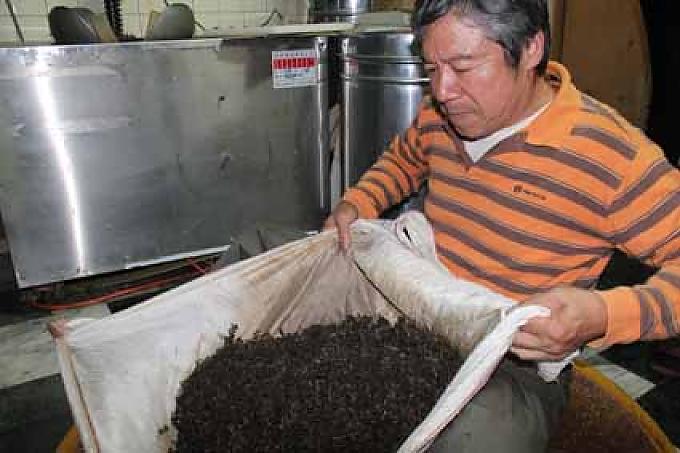 Shin-Shun Chang auf der Maokong Teeplantage. Taipeh