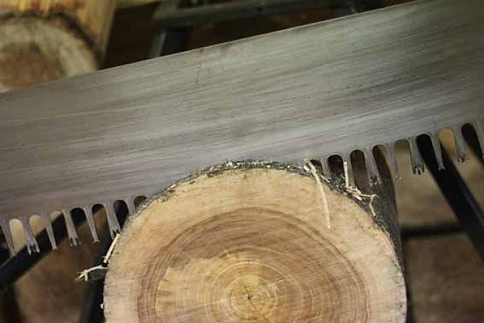 Mit Edel-Axt und Turbo-Motorsäge Mit Edel-Axt und Turbo-Motorsäge