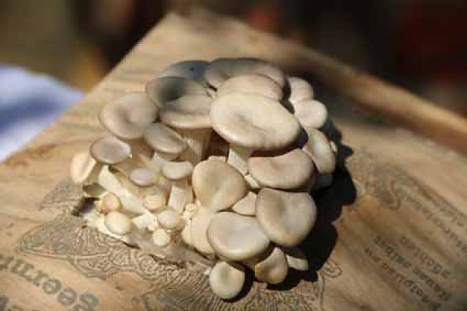 Zum Wegwerfen viel zu schade Zum Wegwerfen viel zu schade