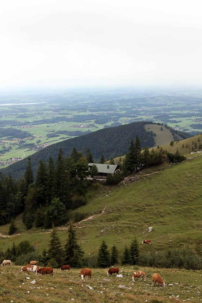 Blick ins Tal Blick ins Tal