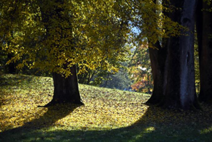 Was bleibt, ist die empirisch belegte Tatsache, dass der Kurpark wunderschön, der alte Baumbestand beeindruckend und die Landschaft ringsum irgendwie geheimnisvoll und mystisch ist. Das Pendel schlägt aus