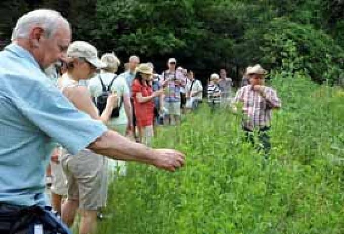 Kräuterwanderer Kräuterwanderer