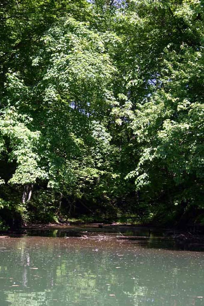 Die Schlucht des Schindergrabens, der seinen Ursprung unterhalb der Kronburg hat. Sepp Fischer ist das urige Original des Illerwinkels.