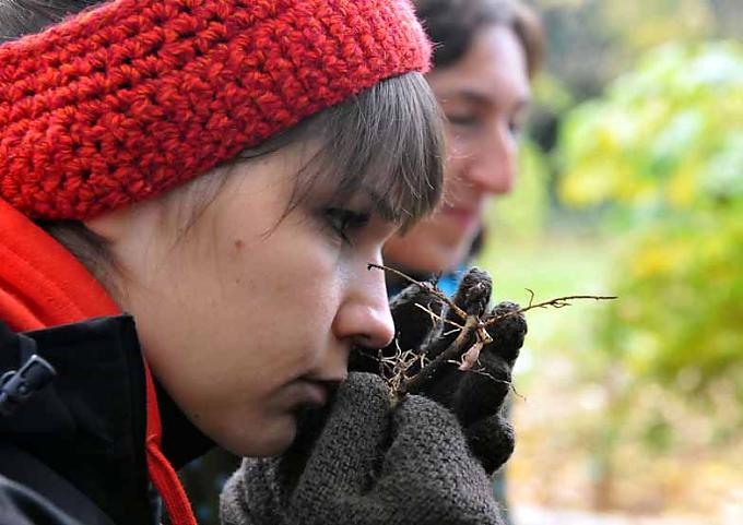 Vorsichtig riechen die Besucher an Wurzeln. Vorsichtig riechen die Besucher an Wurzeln.