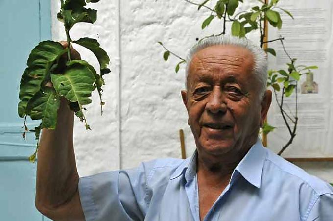 Göttliche Gaben, menschliche Mühen Göttliche Gaben, menschliche Mühen