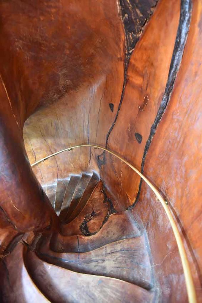 Wendeltreppe aus dem Stamm eines Kauri