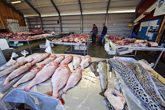 Fischmarkt in Nuuk