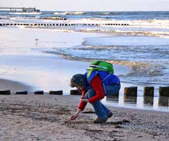 Bernsteinsammler Seebrücke in Ahlbeck