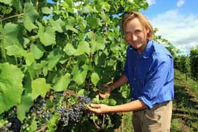 Karl Friedrich Aust gehört zu den Spitzenwinzern im Sächsischen Elbland In der Hoflößnitz zu Radebeul feierten schon die sächsischen Herrscher fröhliche Gelage inmitten der Weinberge