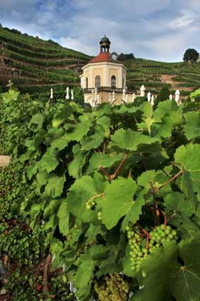 Schloss Wackerbarth in Radebeul Schloss Wackerbarth in Radebeul