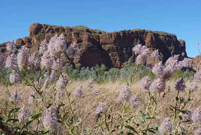 Schroffe Felsenlandschaft der Kimberley Schroffe Felsenlandschaft der Kimberley