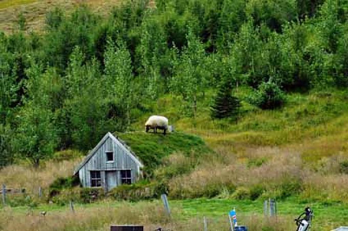 Multifunktionale Grüne Architektur: Wärmedämmung, Dünger- und Nahrungslieferant gleichermaßen.  Multifunktionale Grüne Architektur: Wärmedämmung, Dünger- und Nahrungslieferant gleichermaßen.