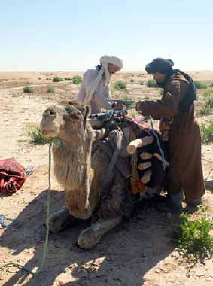Kamele werden mit Lasten bepackt. Denn da ruft Koch Achmed: „Das 'Cafè Nomade' ist geöffnet!“ Mit breitem Lächeln streckt er die Hand, in der er den Becher hält, weit nach unten und schenkt mit der anderen Hand aus gefühlten zwei Meter Höhe Kaffee ein.