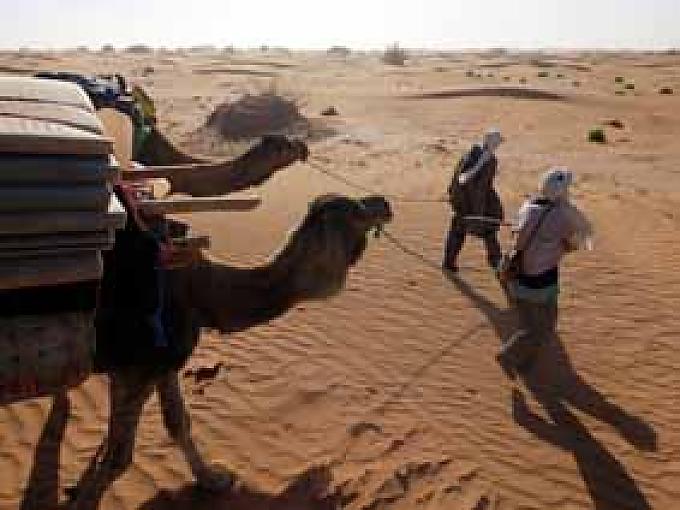 Karawane in der Wüste. Karawane in der Wüste.