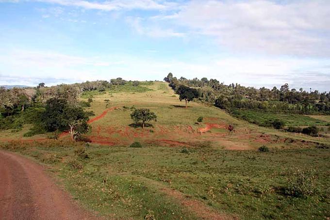 Weg im Aberdare-Nationalpark Touristen in den Taita-Hills bei Tsavo West