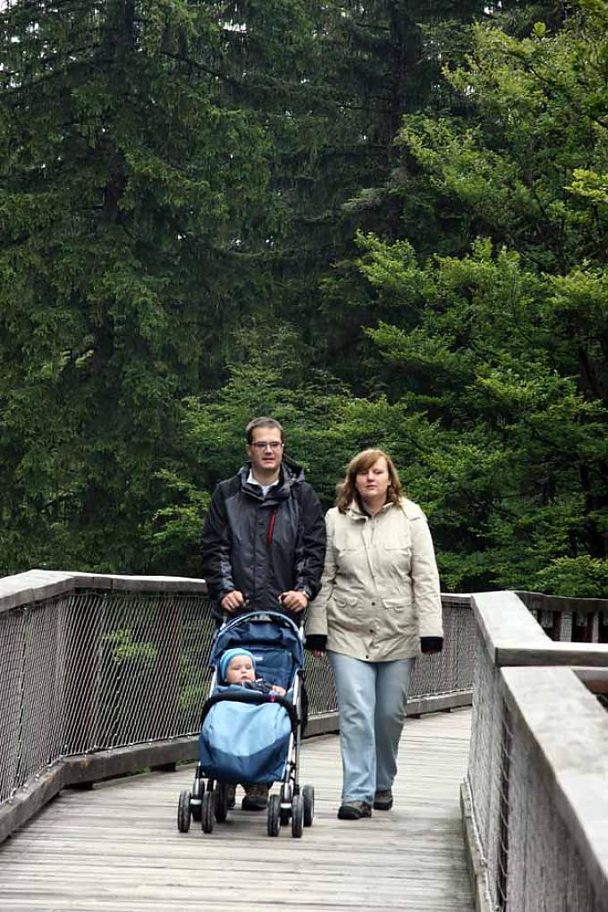 Besucher auf dem Baumwipfelpfad Besucher auf dem Baumwipfelpfad