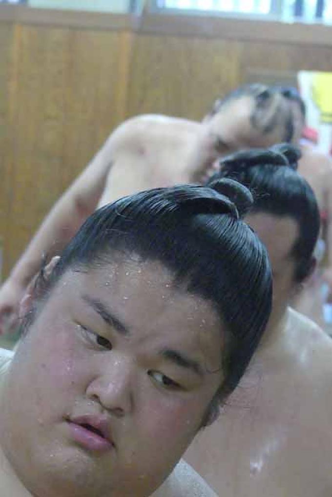 Sumo-Ringer beim Training in Tokio Sumo-Ringer beim Training in Tokio