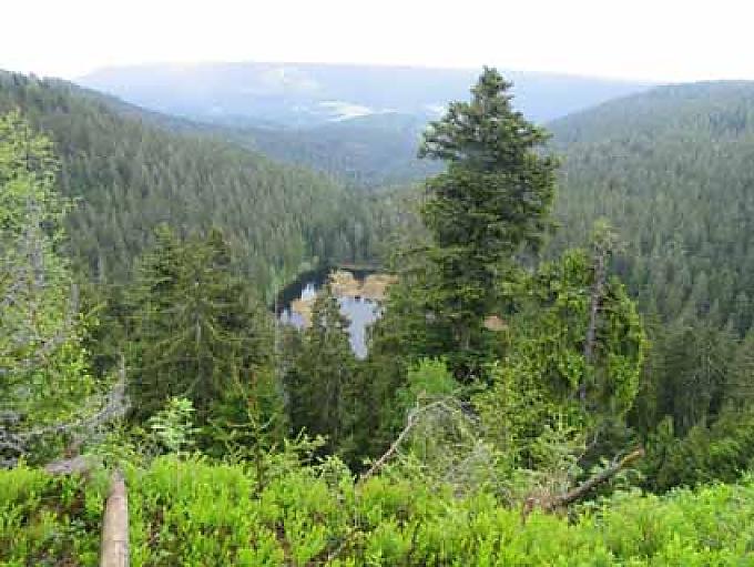 Wilder See. Wilder See.