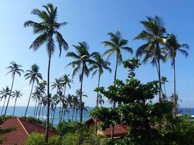 Cape Weligama Resort am Indischen Ozean Cape Weligama Resort am Indischen Ozean