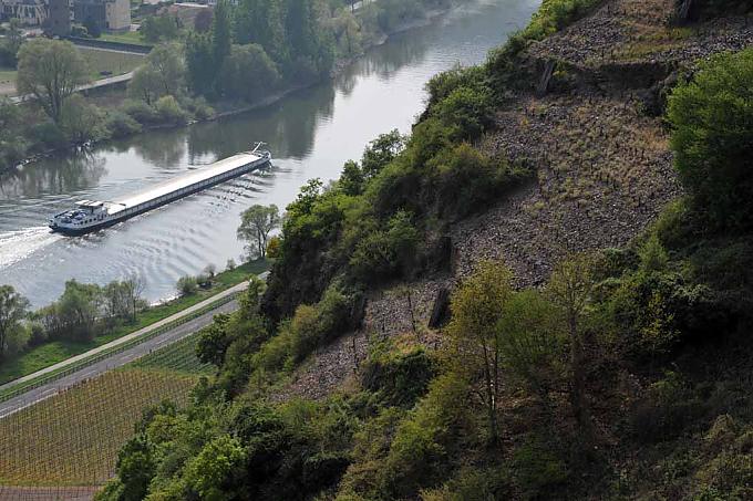 Blick auf die Mosel mit Frachtschiff. Wanderer inmitten von Rebstöcken.