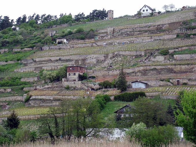 Entlang der Unstrut nach Nebra Blick vom Westturm des Doms auf Osttürme und St.Wenzel