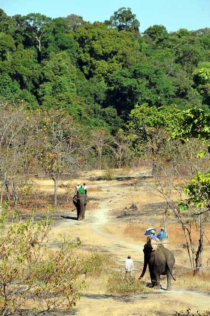 Phu auf dem Weg in den Urwald Phu mit Zuckerrohr