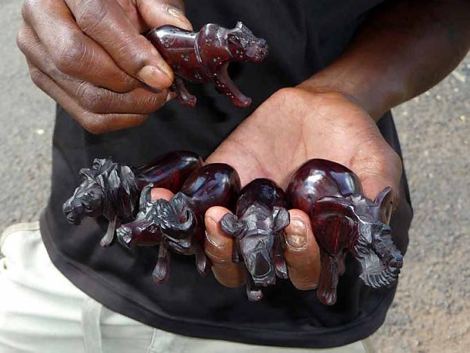 John bietet Touristen die "Big Five" an John bietet Touristen die "Big Five" an