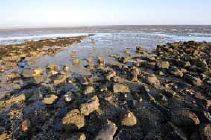 Watt Besucher auf dem Leuchtturm