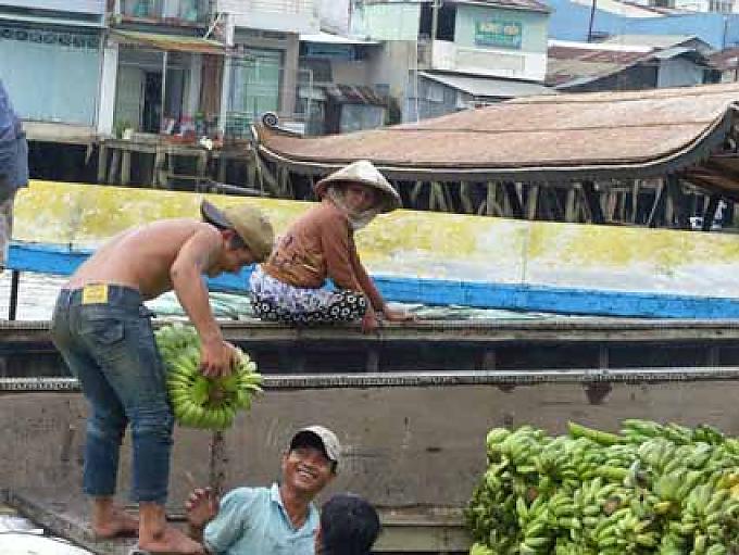 Umladen von Bananen auf dem Floating Market von Cai Be Umladen von Bananen auf dem Floating Market von Cai Be