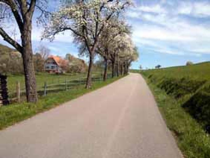 Wasgau-Landschaft zwischen Lembach und Wingen Wasgau-Landschaft zwischen Lembach und Wingen