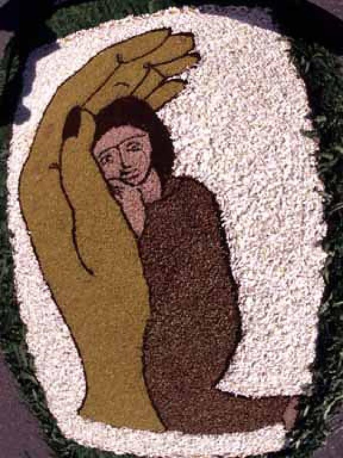 Mühlenbach: Blumenteppich. Mühlenbach: Blumenteppich.